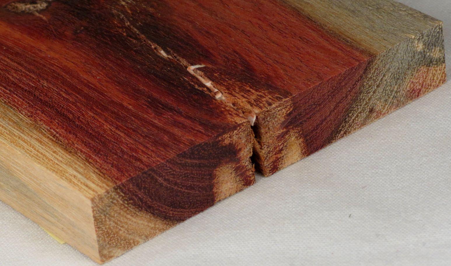 acacia, cinnecord 1 end grain s50 plh.jpg